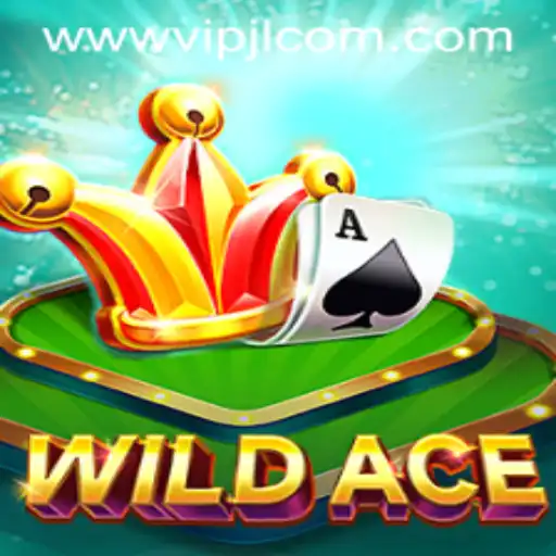 Exploring the Thrilling Experience of WildAce